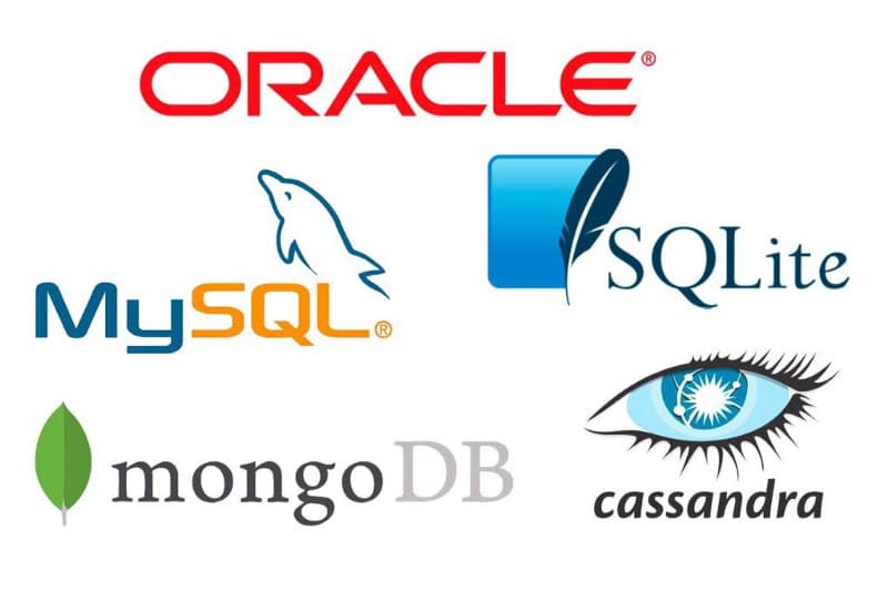 Navigating the Landscape of Database Engines: A Beginner's Guide